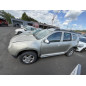 Porte arriere gauche DACIA DUSTER 1