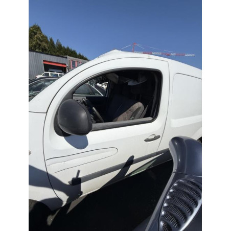Porte avant gauche RENAULT KANGOO 2 Photo n°1