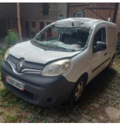 Porte avant gauche RENAULT KANGOO 2 Photo n°16