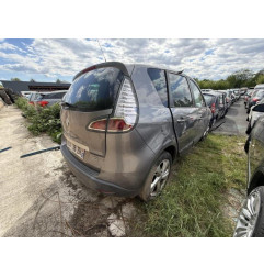 Porte avant gauche RENAULT SCENIC 3 Photo n°19