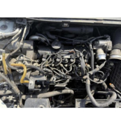 Ceinture avant gauche RENAULT MEGANE 3 Photo n°6