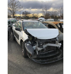 Porte arriere gauche CITROEN C4 CACTUS Photo n°6