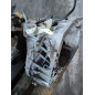 Boite de vitesses RENAULT CLIO 4