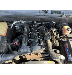 Compresseur clim SSANGYONG KYRON Photo n°7