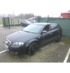 Feu arriere secondaire droit (feux) AUDI A3 2 Photo n°8