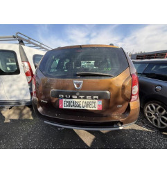 Porte arriere gauche DACIA DUSTER 1 Photo n°15
