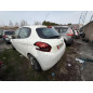 Porte arriere gauche PEUGEOT 208 1