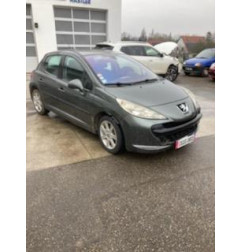 Neiman PEUGEOT 207 Photo n°9