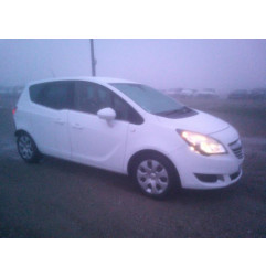 Porte avant gauche OPEL MERIVA B Photo n°6