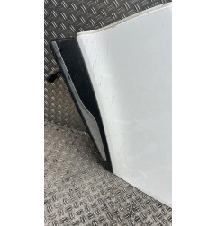 Porte arriere gauche RENAULT CLIO 4