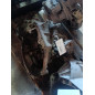 Boite de vitesses CITROEN C3 PLURIEL