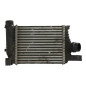 Echangeur air (Intercooler) DACIA DUSTER 1