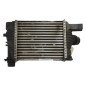 Echangeur air (Intercooler) DACIA DUSTER 1