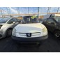 Calandre PEUGEOT PARTNER 1