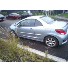 Porte avant droit PEUGEOT 207 Photo n°8