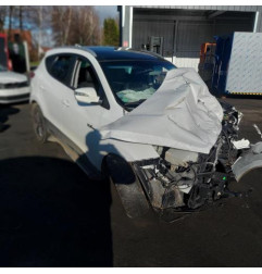 Porte arriere gauche HYUNDAI IX 35 Photo n°10