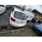 Porte arriere gauche SEAT IBIZA 4