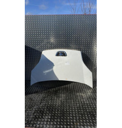 Capot PEUGEOT BIPPER Photo n°1