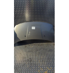 Capot PEUGEOT 3008 1 Photo n°1