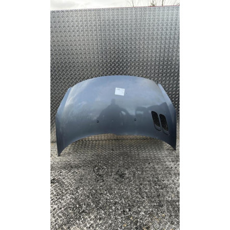 Capot PEUGEOT 206+ Photo n°1