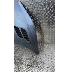 Capot PEUGEOT 206+ Photo n°3