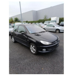 Porte avant droit PEUGEOT 206 Photo n°1