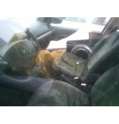 Cardan gauche (transmission) RENAULT CLIO 2 Photo n°8