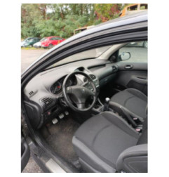 Porte avant droit PEUGEOT 206 Photo n°5