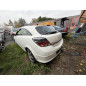 Malle/Hayon arriere OPEL ASTRA H