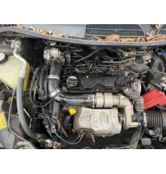 Feu arriere principal gauche (feux) FORD FIESTA 6 Photo n°11