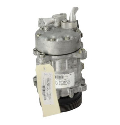 Compresseur clim VOLKSWAGEN NEW BEETLE 1 Photo n°3