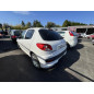 Porte arriere gauche PEUGEOT 206+