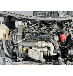 Porte avant gauche FORD FIESTA 6 Photo n°12