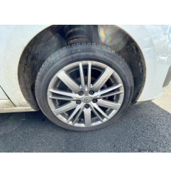 Porte avant gauche RENAULT MEGANE 3 Photo n°13