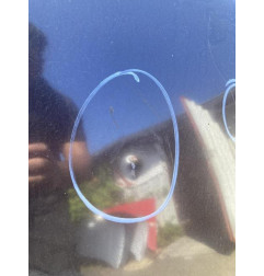 Capot VOLKSWAGEN EOS