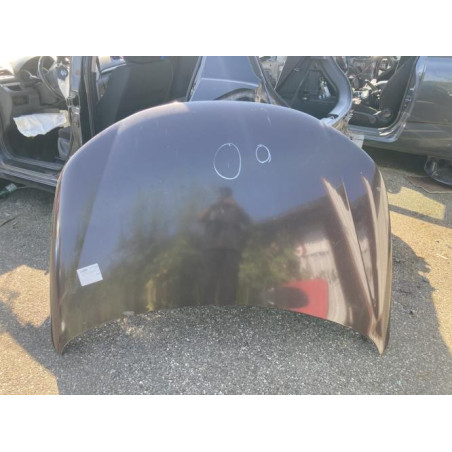 Capot VOLKSWAGEN EOS Photo n°4