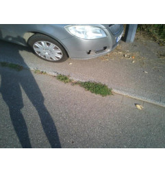 Capot SKODA ROOMSTER Photo n°6