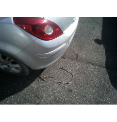 Boite de vitesses OPEL CORSA D Photo n°6