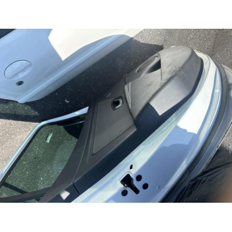 Porte arriere gauche RENAULT MEGANE 3