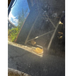 Capot RENAULT SCENIC 3