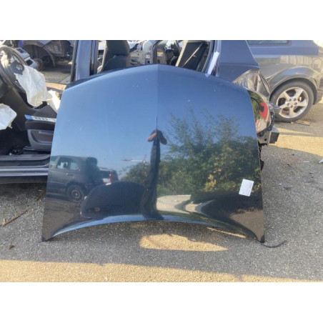 Capot RENAULT VEL SATIS Photo n°1