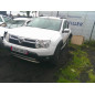 Porte arriere gauche DACIA DUSTER 1