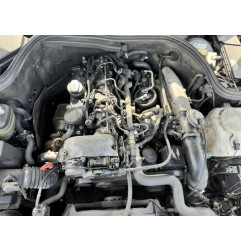 Ceinture avant gauche MERCEDES CLASSE C 202 Photo n°7