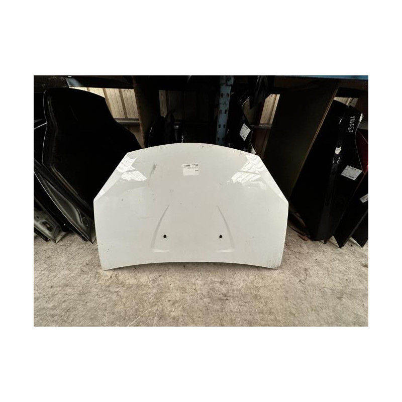 Capot DACIA SANDERO 1 Photo n°2