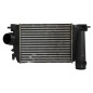 Echangeur air (Intercooler) RENAULT SCENIC 4