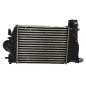 Echangeur air (Intercooler) RENAULT SCENIC 4
