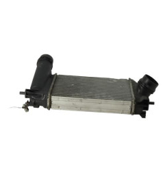 Echangeur air (Intercooler) RENAULT SCENIC 4 Photo n°3