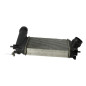 Echangeur air (Intercooler) RENAULT SCENIC 4