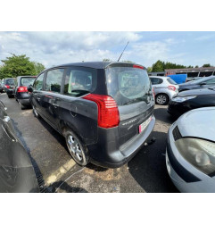 Porte arriere gauche PEUGEOT 5008 1 Photo n°12