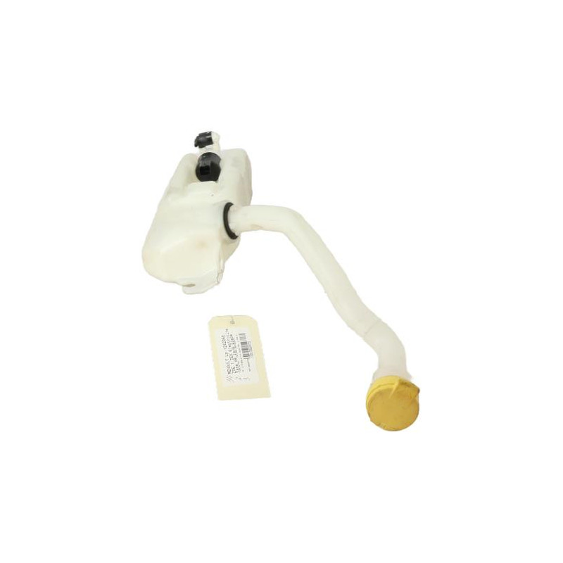 Vase de lave glace RENAULT ZOE 1